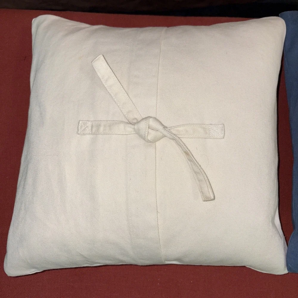 Set Of 2 Pottery Aloha Barn Throw Pillows 12